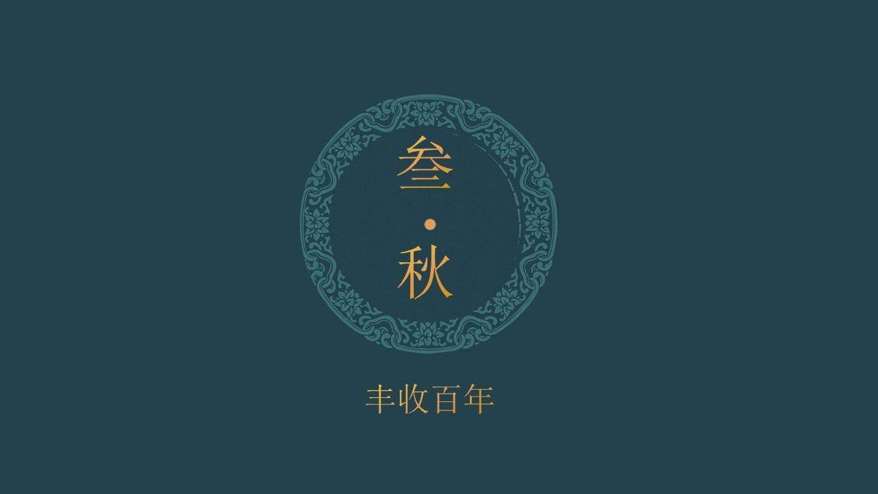 中国风 (65).pptx